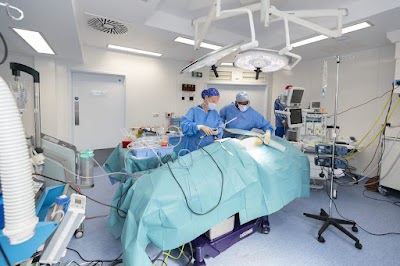 Elena Prousskaia Consultant Plastic Surgeon