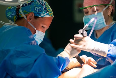 EP Surgical Bristol